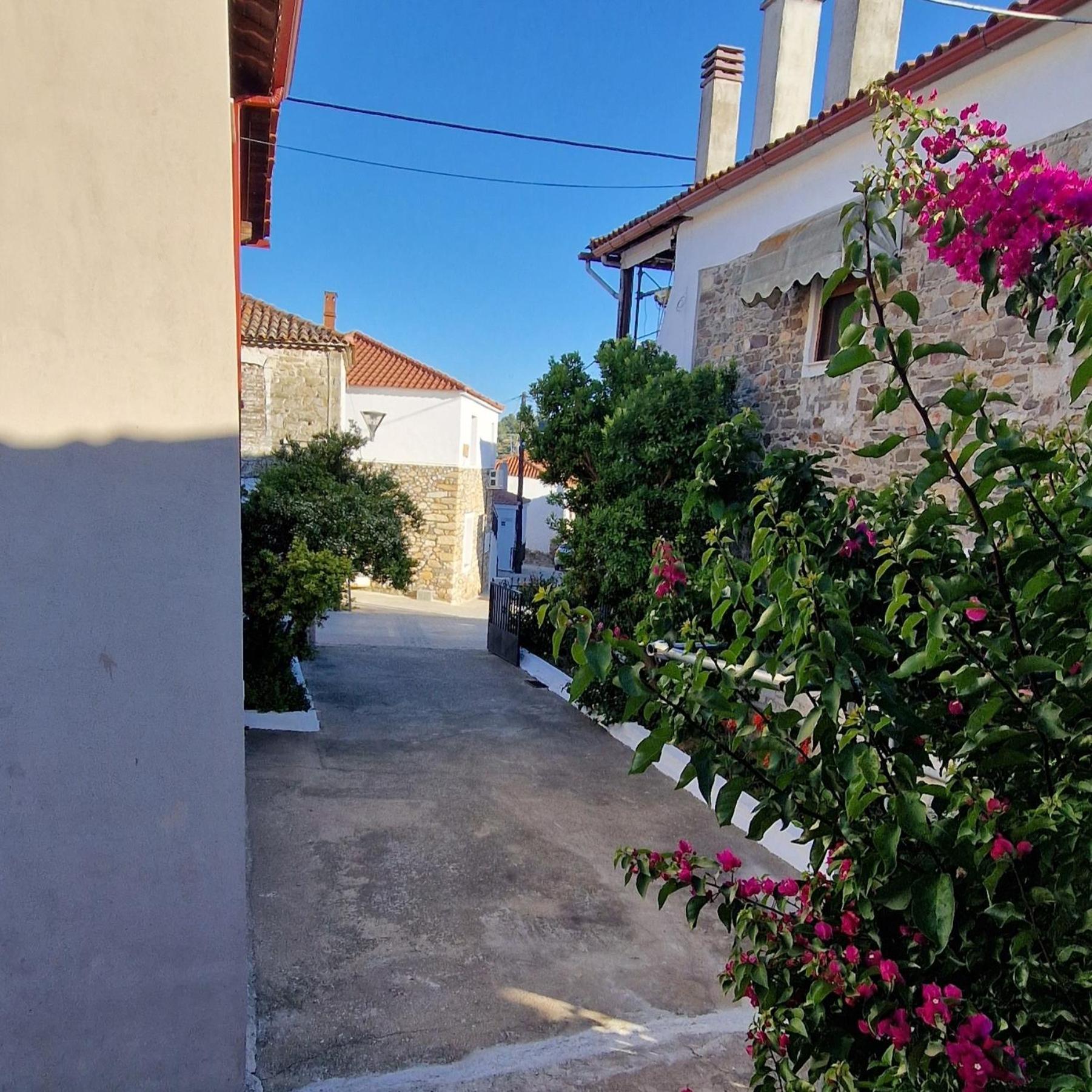 Апартаменти Nikolaos House Айос-Ніколаос Екстер'єр фото